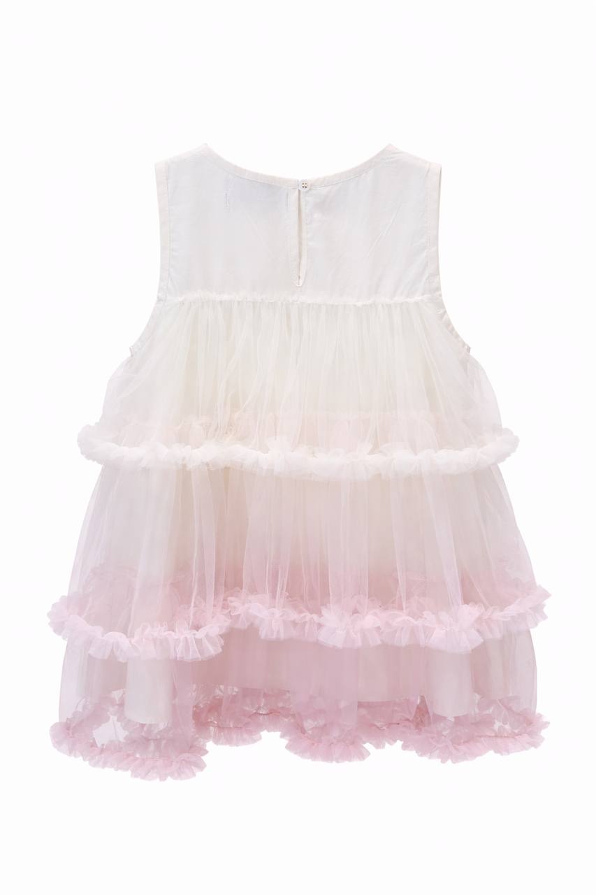 Aurielle Ombre Tulle Dress