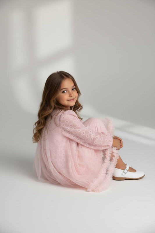 Éloise Embroidered Dress