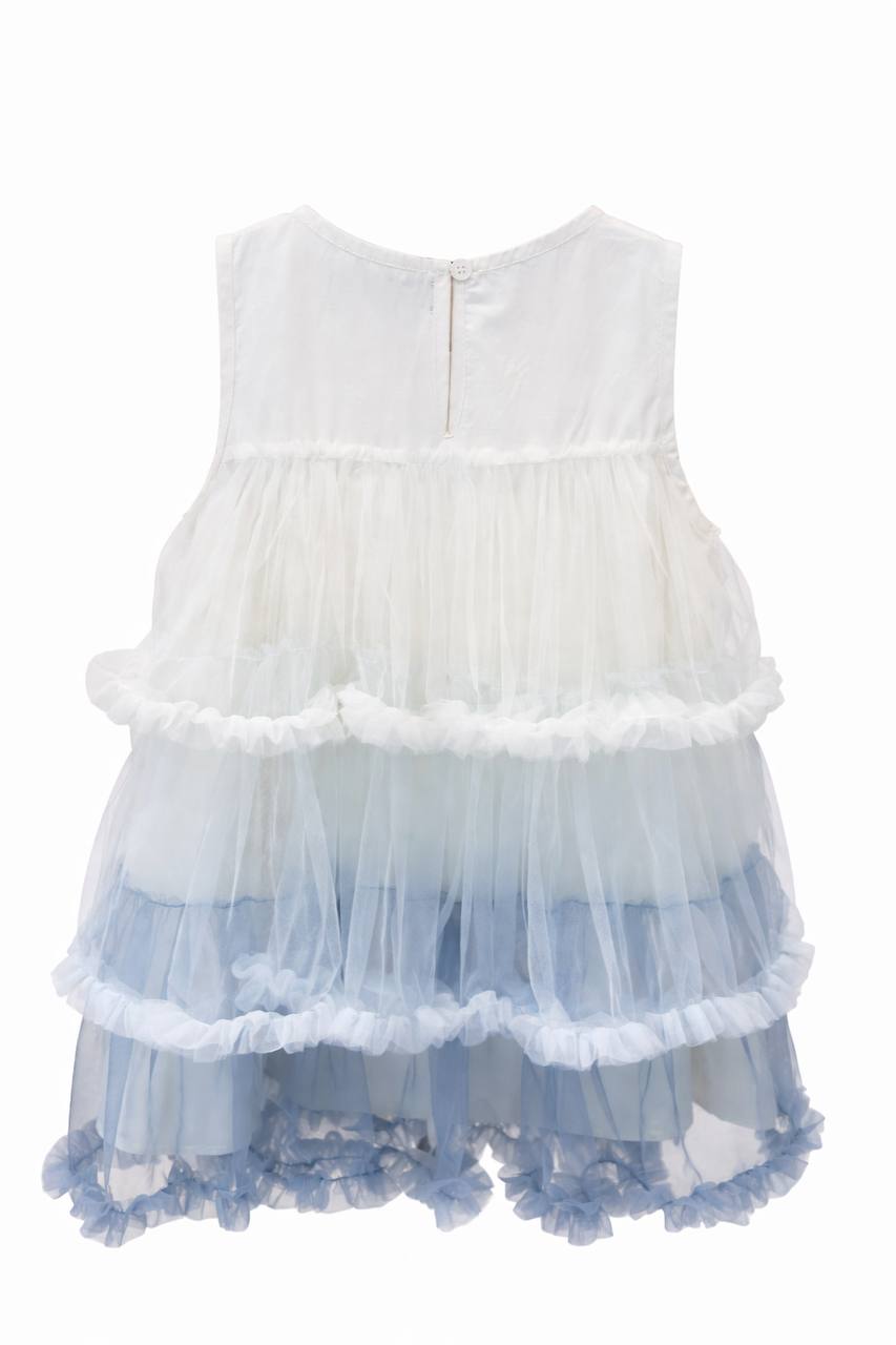 Aurielle Ombre Tulle Dress