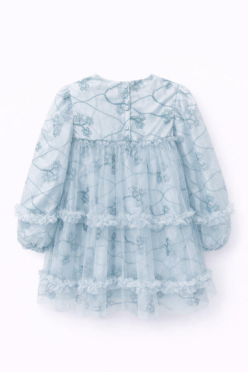 Elara Embroidered Tulle Dress