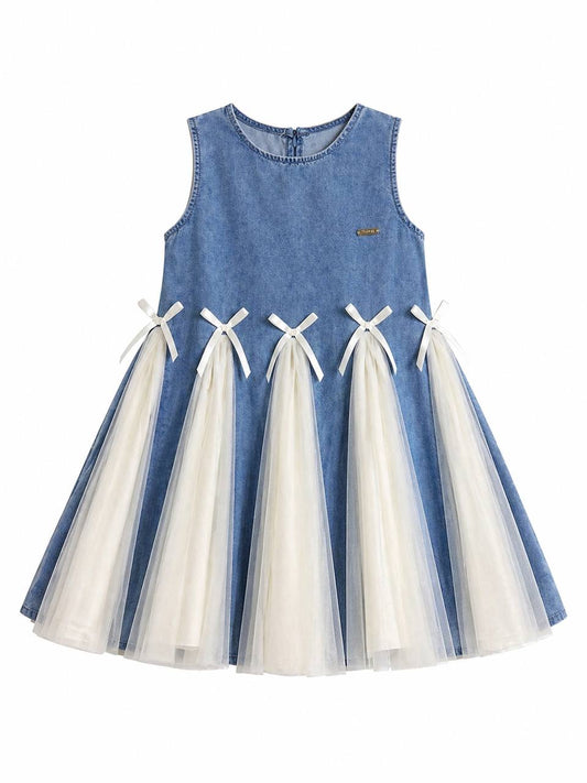 Denim Tulle Dress