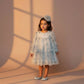 Elara Embroidered Tulle Dress