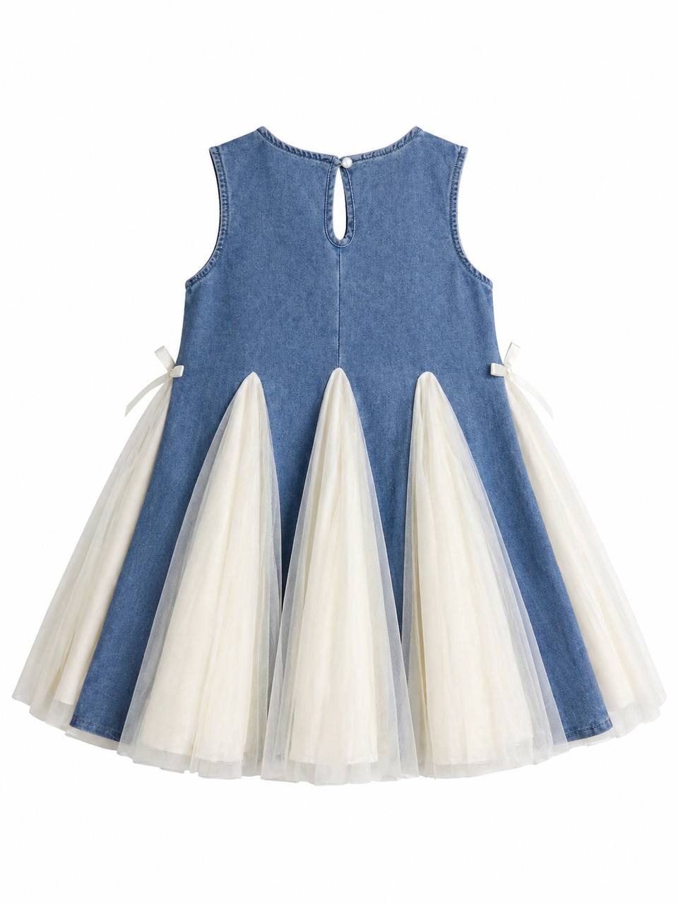 Denim Tulle Dress